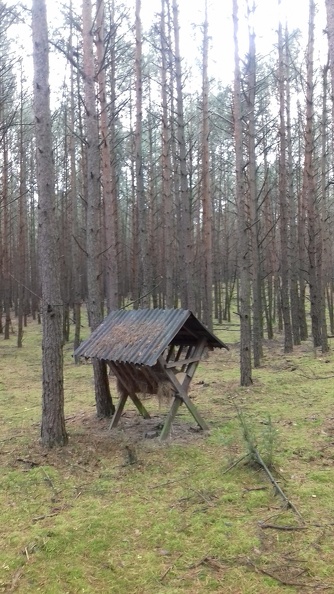 Podkurek 2017 011.jpg