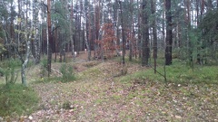 Podkurek 2017 089