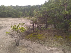 ZS PIASKOWNICA