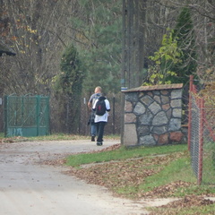 Obraz 058
