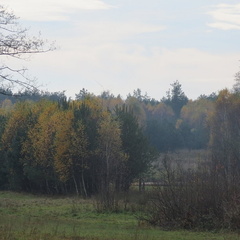 Obraz 057