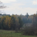 Obraz 057