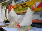 sany0491