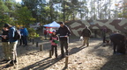IMG 7386