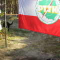 IMG 7395