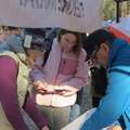 IMG 7398