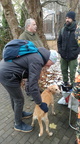 IMG 20241123 135304