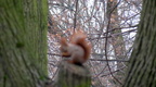 IMG 7768