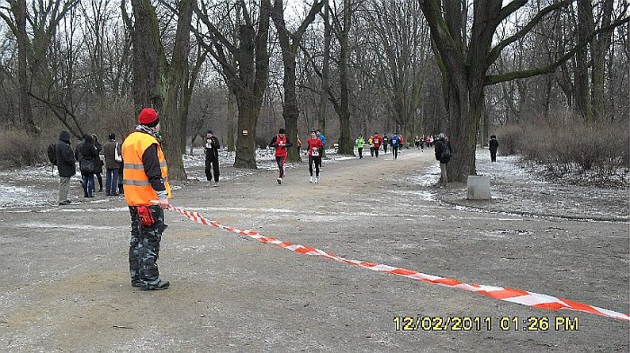 zdj_66