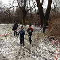 zdj_33