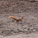 IMG_3284