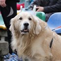 IMG_3461